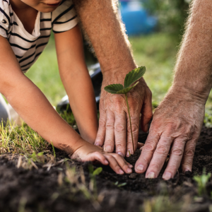 Un dossier pour premettre aux parents de comprendre et d'expliquer l'écologie et l'environnement à leurs enfants. Par ce que chaque parent se sent concerné, mais ne sait pas toujours quoi penser du sujet ni comment en parl