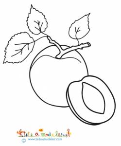 Coloriage Des Fruits A Noyau Ou A Pepins
