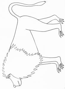 coloriage d'un babouin