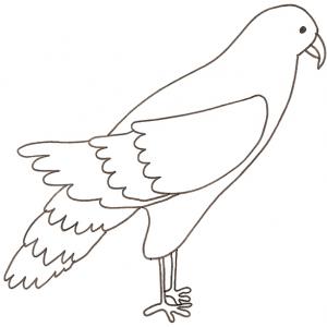 coloriage d'un buzard