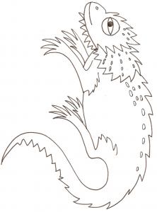 coloriage d'un cameleon - dessin 1