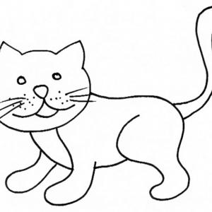 Coloriages Sur Les Chats De Toutes Sortes Coloriage Chat