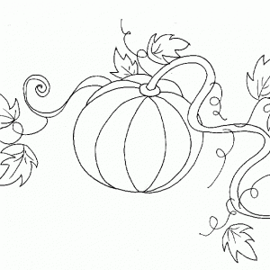 Imprimer le coloriage d'une belle citrouille