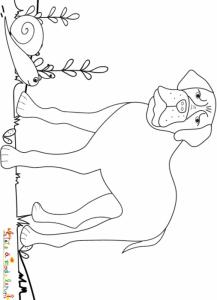 Bouledogue et l'escargot