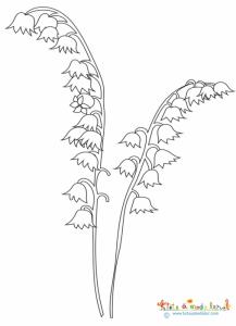 Deux brins de muguet à colorier