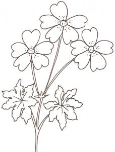 Coloriages Sur Les Fleurs Pour Enfant