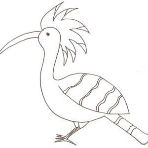 Coloriages Des Oiseaux Du Monde Tête à Modeler