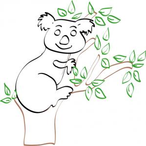coloriage d'un koala