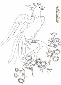 Coloriages Des Oiseaux Du Monde Tete A Modeler
