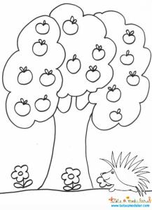 Coloriage d'un pommier en automne