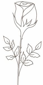 Coloriages Sur Les Fleurs Pour Enfant