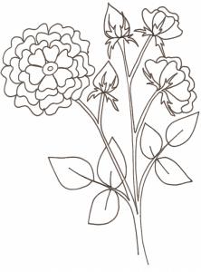 Coloriages Sur Les Fleurs Pour Enfant