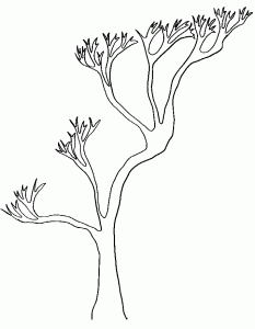 Coloriages Sur Les Arbres Tête à Modeler