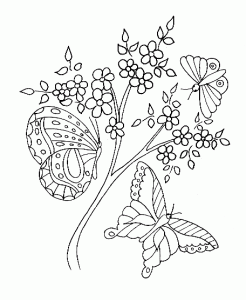 Coloriage Papillon Dessin Papillon La Sélection De Tête