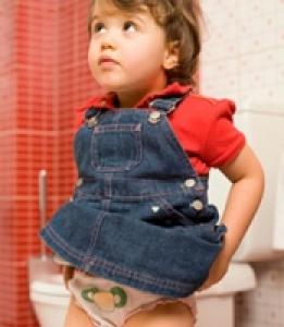 Propreté et couche culotte