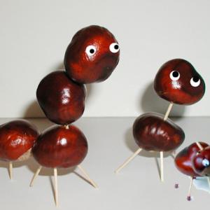 Animaux marrons