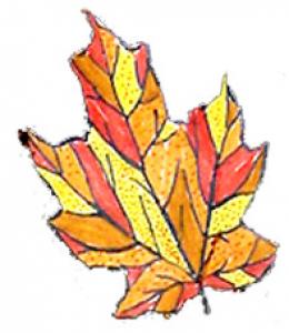 Coloriages De Feuilles Et Darbres En Automne Dessins Tête