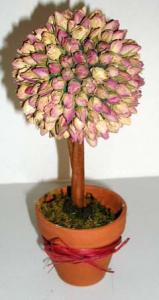 Arbre aux boutons de roses