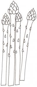asperges