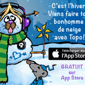 Habille Le Bonhomme De Niege Avec Topo