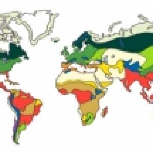 carte des grands habitats - biomes