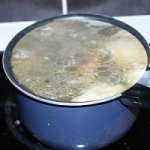 Soupe de poulet fermière
