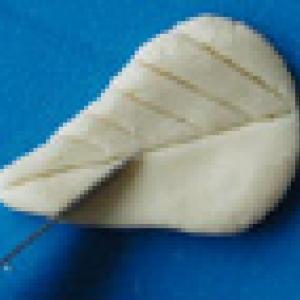 Les formes de base du modelage