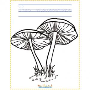 Coloriages De Champignons Et Scenes D Automne