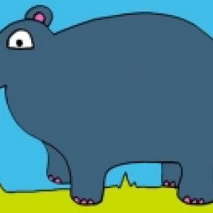 Coloriage d'hippopotame avec couleur