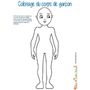 Coloriage du corps de garçon
