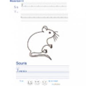Activités avec la lettre S