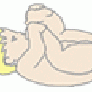 Développement du bébé  6 mois