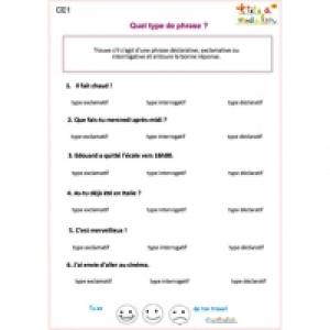 Exercice 1 de grammaire CE1