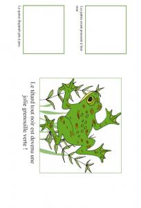 Fiche de découverte sur la grenouille : e la grenouille au têtard