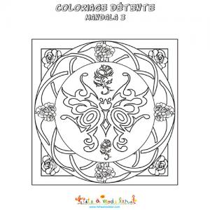 Mandala détente papillon arabesques