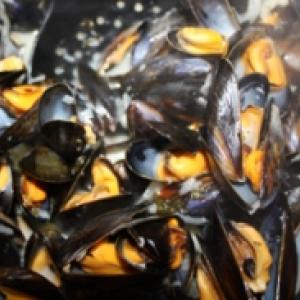Moule au celeris