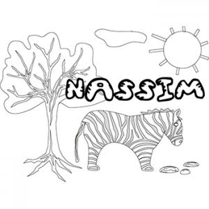 Nassim