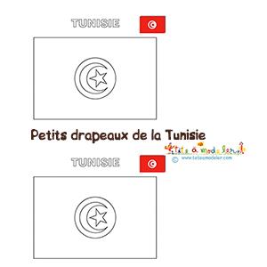 Petits drapeaux Tunisiens