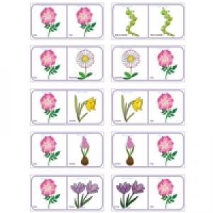 Jeu de dominos des fleurs à imprimer