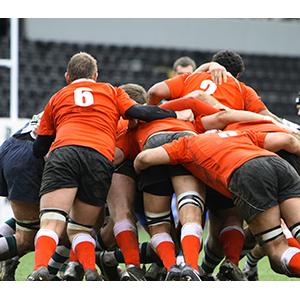 Coupe du monde de Rugby, Rugby à XV