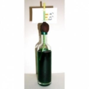 Fiche d'explication pour fabriquer un thermomètre