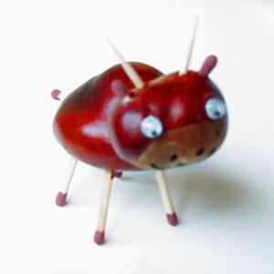 animaux en marrons