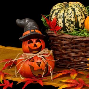 Les origines de la fête d'Halloween se confondent si bien avec la nuit des temps qu'il est très difficile de retrouver les origines exactes d'Halloween. Les sources variées et parfois contradictoires ne permettent pas de sa