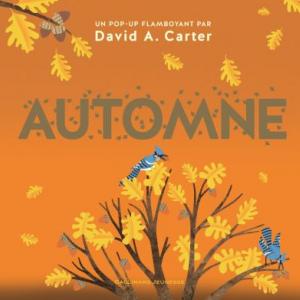 Vous cherchez un livre pour les enfants sur le thème de l'automne ? Voici une sélection de 10 albums jeunesse qui parlent de cette saison unique et particulièrement créative.