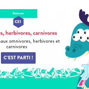 Un jeu éducatif en ligne proposé par francetv édutcation pour apprendre à dissocier les régimes alimentaires des animaux