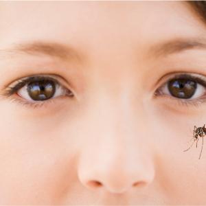 Zika, le virus Zika