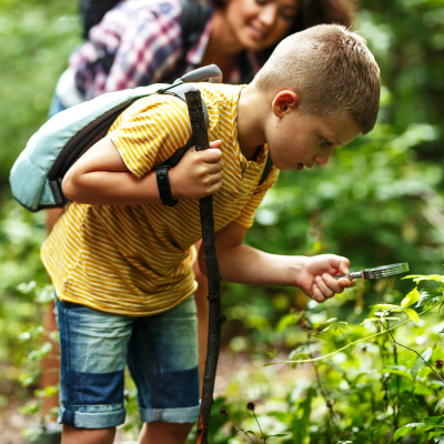 Ce dossier sur les écosystèmes vous aidera à mieux comprendre pour mieux expliquer à votre enfant ce qu’est un écosystème en écologie. Ecologie et écosystèmes : Sommaire du dossier sur les écosystèmes. Les articles portent sur les écosystè