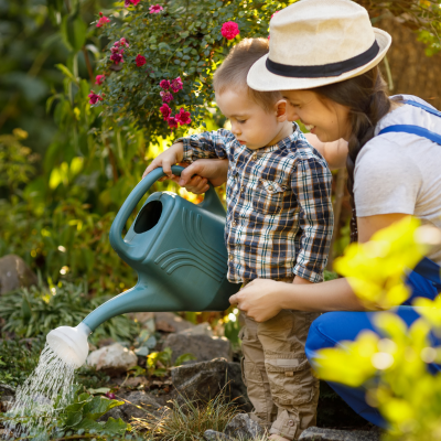 Économiser l'eau ne veut pas dire priver les plantes d'eau, mais choisir la meilleure heure pour arroser. Ce qui compte ce n'est pas la quantité d'eau que vous déversez ...