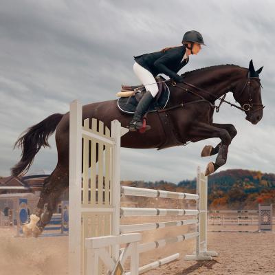 cavalier - mot du glossaire Tête à modeler. Définition et activités associées au mot cavalier.
