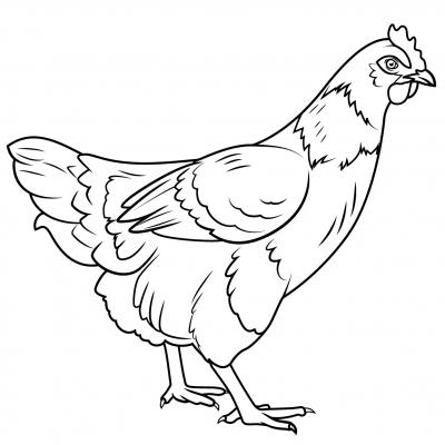 Des dessins de poules et de leurs poussins à imprimer pour le coloriage. Retrouvez tous les coloriages de poules et de poussins vous le coloriage de votre enfant. Le coloriage de poule n'est pas réservé aux coloriages de Pâques !